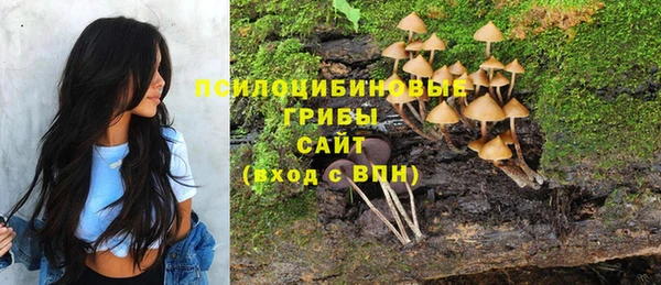 spice Алексин