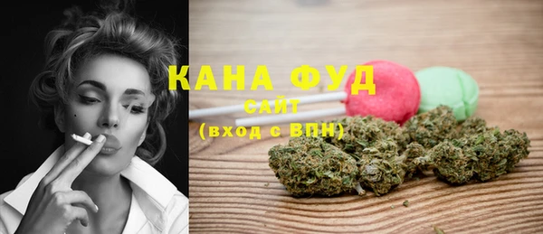 молекула духа Алзамай