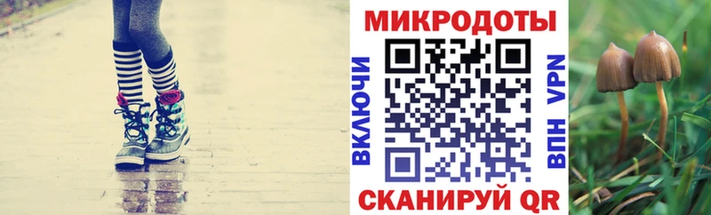 Псилоцибиновые грибы GOLDEN TEACHER Ирбит